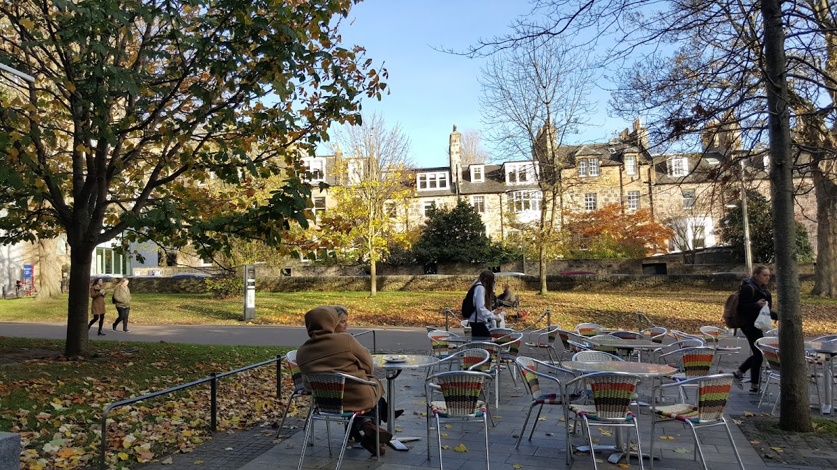 Söderberg The Meadows
