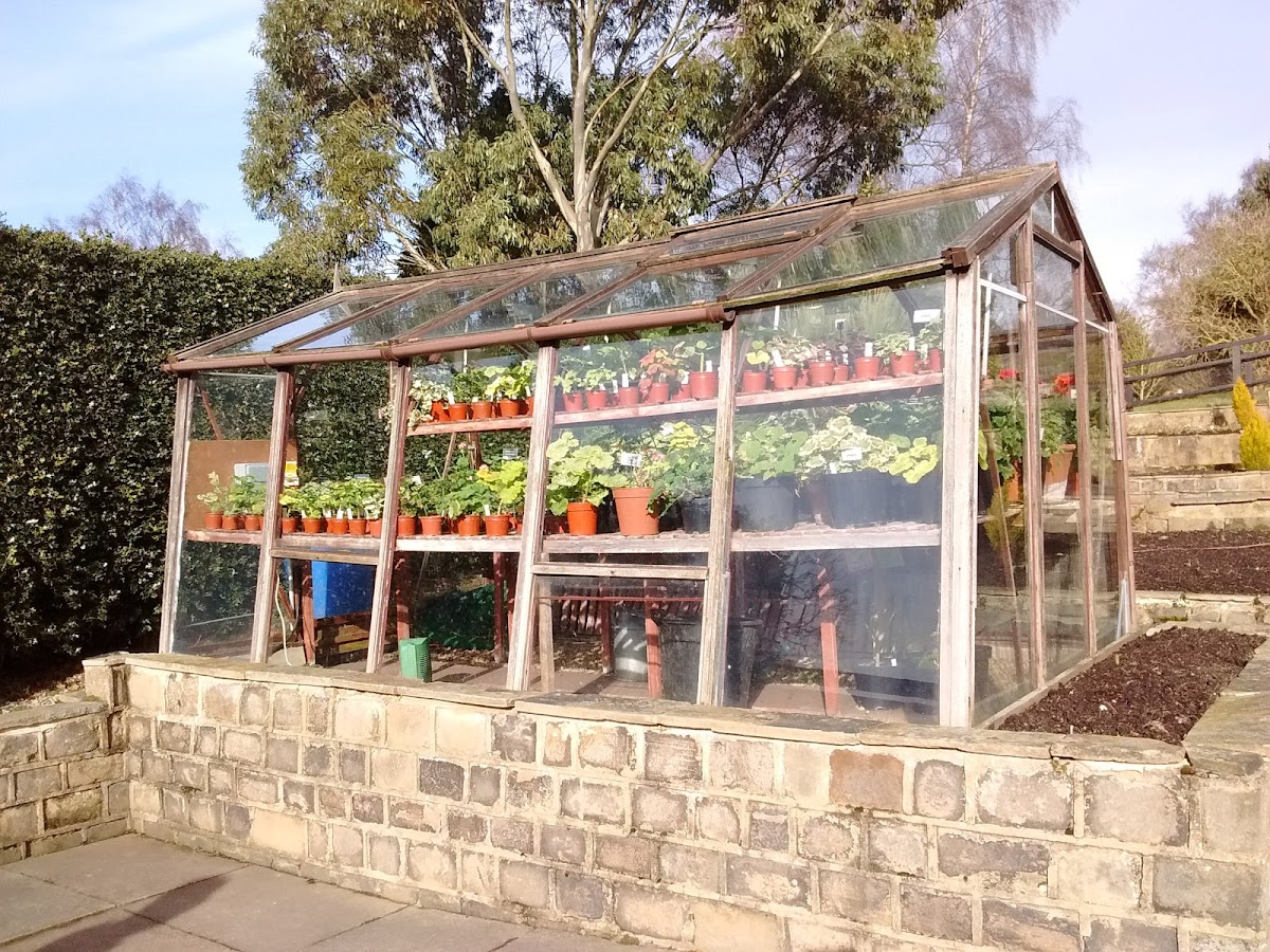Golden Acre Park Tea Room
