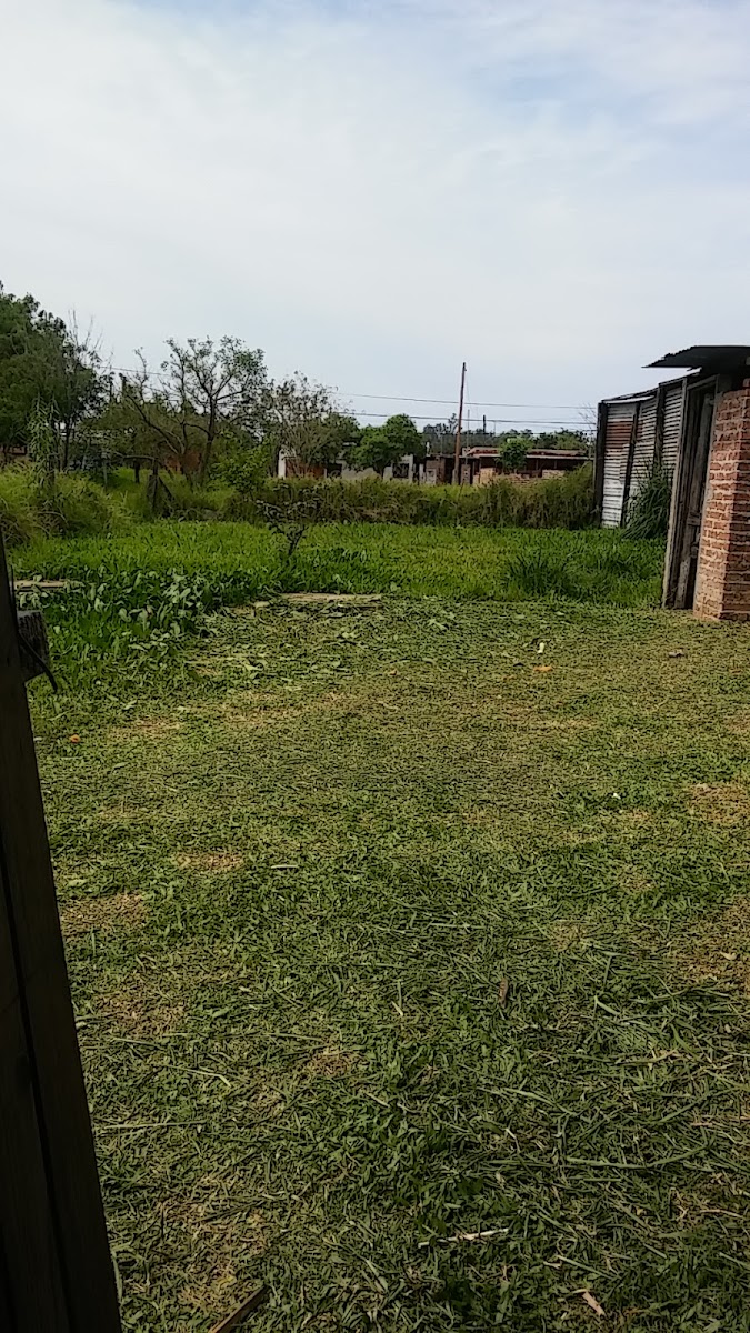 Pipilo Manjares de Pescado