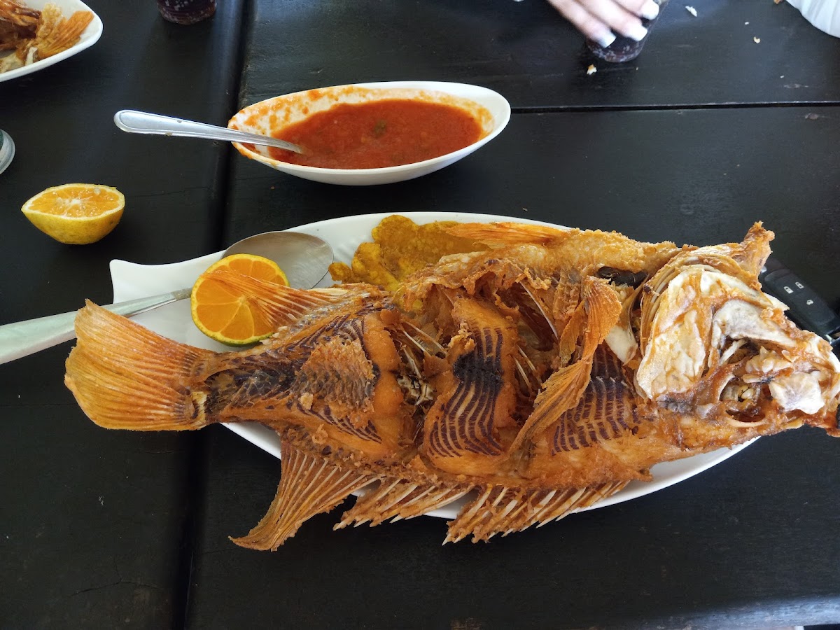 Pesca Deportiva Los Potrillos